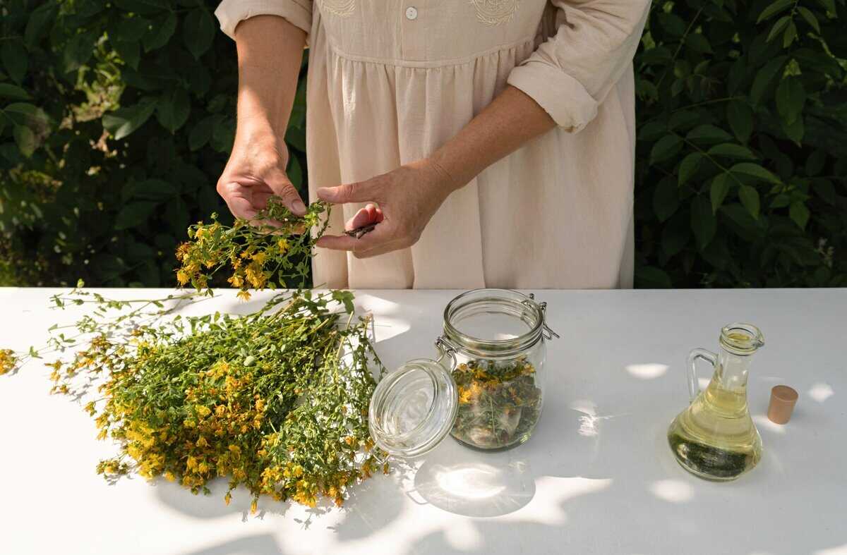 10 Bahnbrechende Botanikerinnen, die unser Verständnis von Pflanzen verändert haben