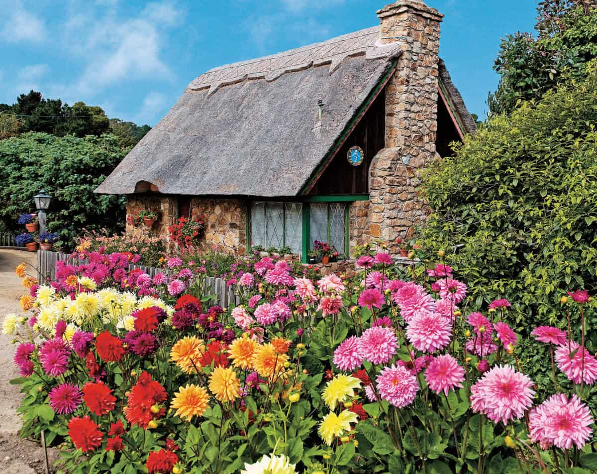 Zwölf Blumen und Kräuter, die in Shakespeares Stücken vorkommen, und wie man sie kultiviert