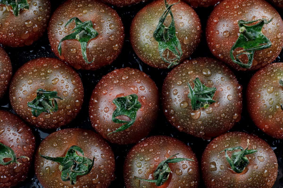 Beste schwarze Tomaten – Dunkle, leckere Sorten zum Ausprobieren