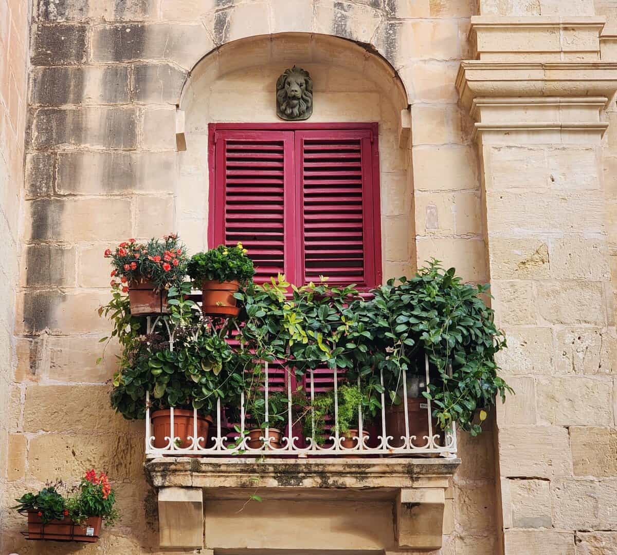 14 Ideale Pflanzen zur Verschönerung kleiner Balkone und Terrassen