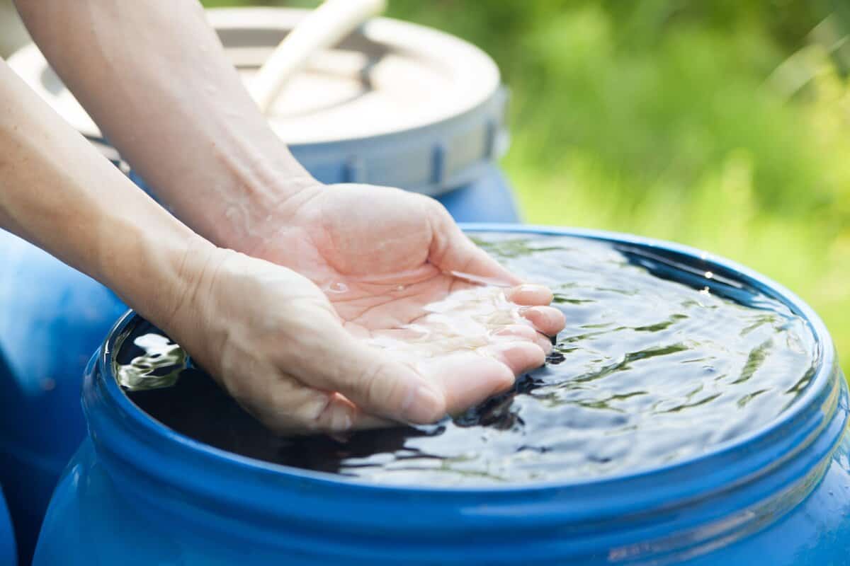 18 Gartenaktivitäten zur Steigerung des geistigen Wohlbefindens und zum Abbau von Stress