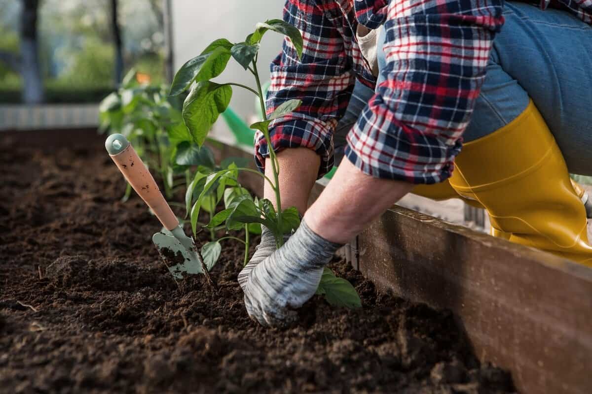 21 wichtige Schritte für einen sauberen und schönen Garten in diesem Frühjahr