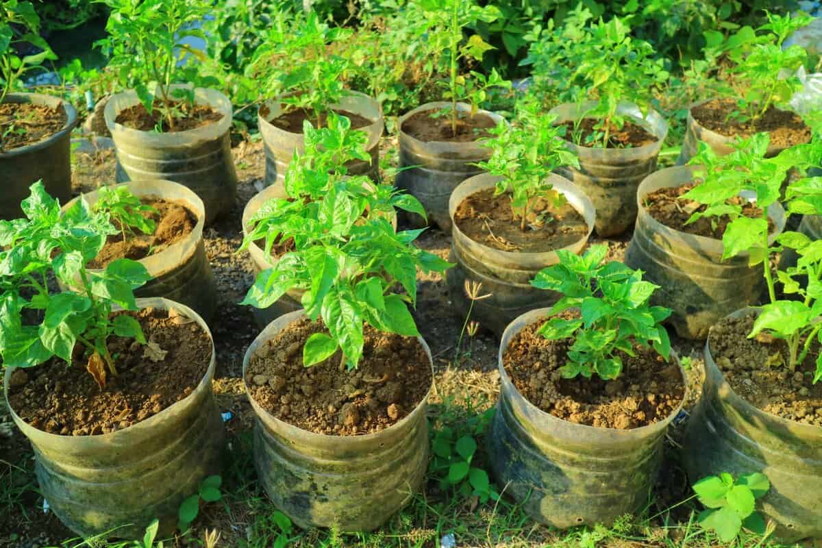 10 Kreative Ideen für die Wiederverwendung von Plastikbehältern in Ihrem Garten