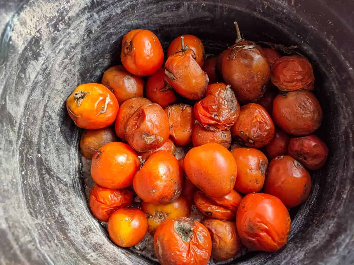 7 Lebensmittel, die Sie nicht lagern sollten: So bleiben Ihre Produkte frisch und lecker