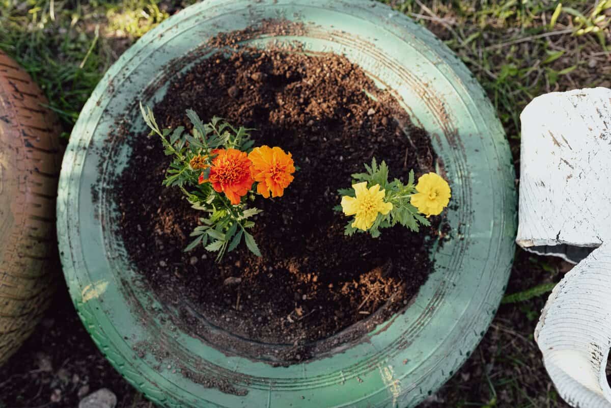 20 Kreative Ideen für Reifengärten, die Ihren Garten verschönern