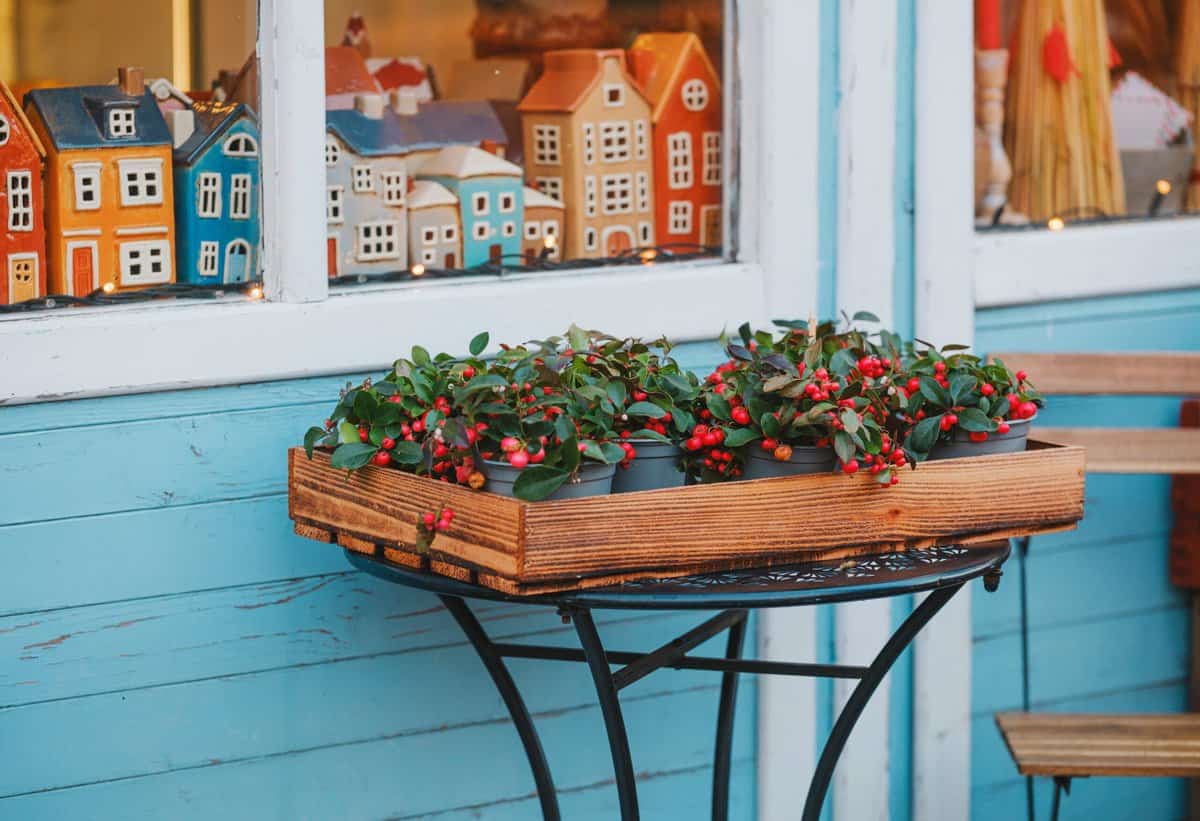 10 Nützliche Tipps zur Landschaftsgestaltung für Anfänger